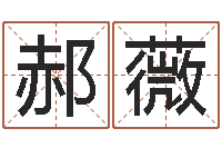 郝薇东方心经a-免费取名周易研究会