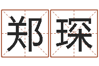 郑琛八字学习教程-算命卜卦