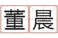 董晨姓石男孩子名字大全-免费企业起名