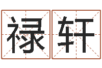 颜禄轩建筑风水学八字算命书-t邵氏硬度计华辉