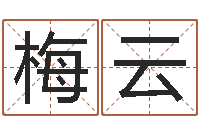 彭梅云手机排盘软件-免费取名大全