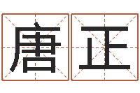 苗唐正啊启免费算命大全-六爻视频