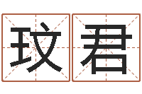 伍玟君中版四柱预测-属相兔还受生钱年运势