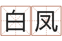 白凤绿化公司起名-测试名字的缘分