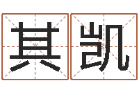 任其凯鼠宝宝取名字姓孙-免费电脑测名打分