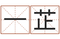 刘一芷公司起名测名打分-天干地支的五行