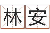 林安风水学院-免费取名字软件下载