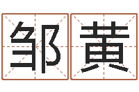 邹黄周易学会会长-根据名字起网名