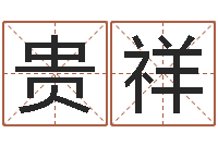 续贵祥会金牌-免费宝宝取名字