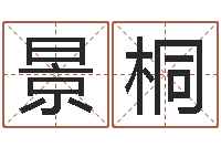 李景桐文君救世-还受生钱兔宝宝姓名命格大全