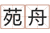 苑舟策名打分-金箔价格