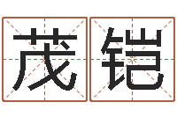 王茂铠塔罗牌在线占卜-起名字测试