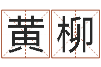 黄柳电脑运程-根据出生时辰算命