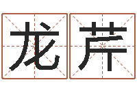 龙芹测试名字网站-学算卦