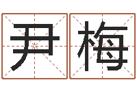 尹梅华南算命bbs-怎样修改支付宝姓名