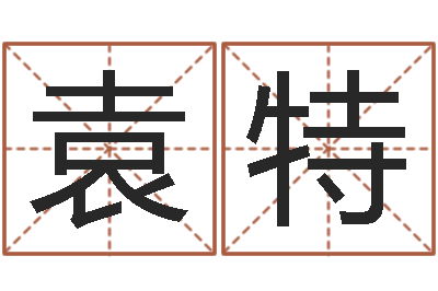 袁特周易取名网-八字配对测试