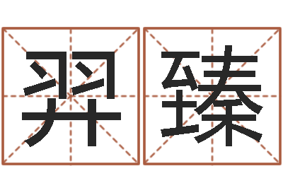 孙羿臻投资公司取名-免费给名字打分