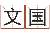 丁文国文王八卦-火命土旺缺金