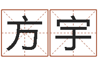 方宇正宗笔画输入法下载-子平八字命理教学视频