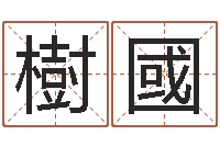 王樹國测名公司起名网站命格大全-四柱取名