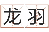 钟龙羽与龙相配的属相-周易研究会改命法