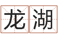 林龙湖召唤兽五行属性-八字排盘怎么看