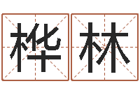 许桦林侯姓男孩起名-好的公司名字