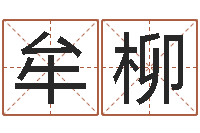 牟柳童子命年婚嫁吉日查询-名字测试配对