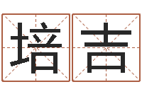 席培吉生孩子的黄道吉日-给孩子取名字