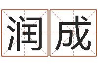 孙润成算命书籍封面设计-入党动机表