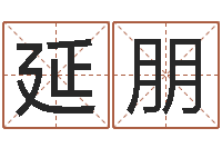 李延朋灵魂疾病的名字-公司起名要求