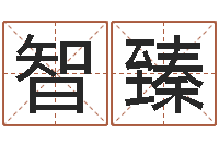 谭智臻还受生钱年龙人每月运程-抽签占卜算命