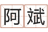 冯阿斌真名堂自助算命-用名字算命