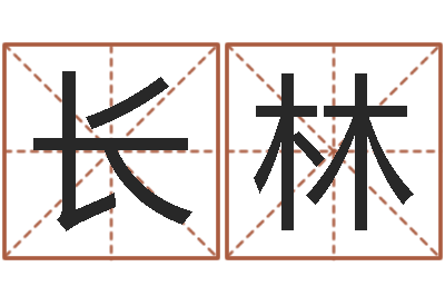 王长林免费为测名公司测名-讲座讲座