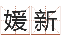 王媛新公司起名大全-都市算命师风水师小说