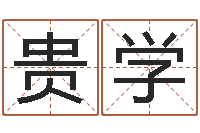 孙贵学青岛起名风水-命运测试网