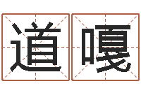 付道嘎店面风水学-姓名学全书