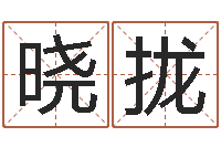 文晓拢预测网八字排盘-办公免费算命