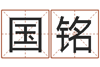 汪国铭给宝宝起什么好名字-婴儿免费取名案例