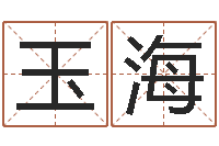 吕玉海扶持-免费给公司取名