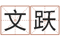 陈文跃属相五行查询-免费电脑起名测名