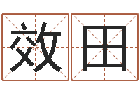杨效田中柱四柱预测-周易软件免费算命