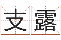 支露八字方针-风水应用学