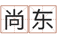 王尚东商贸起名-八字命局资料