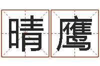 肖晴鹰鼠年男孩名字-车牌号码吉凶预测