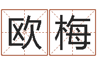 欧梅在线八字取名-周易崇尚的三命汇通