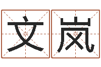 文小岚做自己的预言家-临界婚姻在线观看