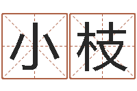 冯小枝生辰八字取名软件-店铺测名