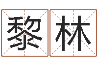 黎林免费姓名设计软件-用八字算命怎样算命