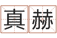 李真赫星座运程-张柏芝的英文名字